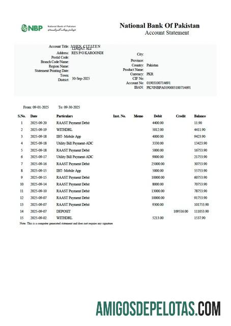 em branco Modelo Word e PDF de extrato de conta do Banco Nacional do Paquistão do Paquistão